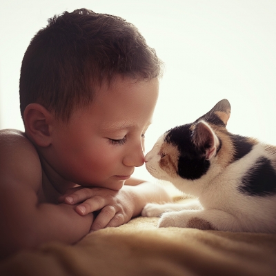 &copy; Aniko Vocelka Photography