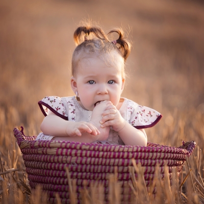 &copy; Aniko Vocelka Photography