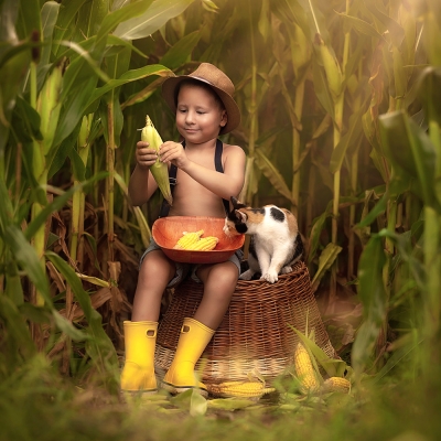 &copy; Aniko Vocelka Photography