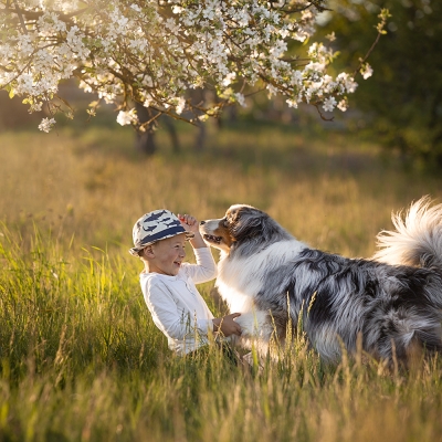 &copy; Aniko Vocelka Photography