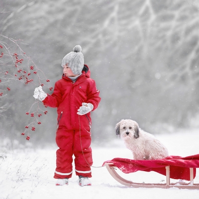 &copy; Aniko Vocelka Photography