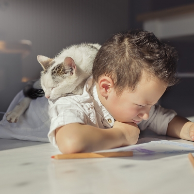 &copy; Aniko Vocelka Photography