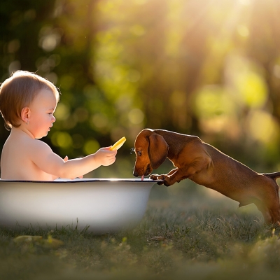 &copy; Aniko Vocelka Photography