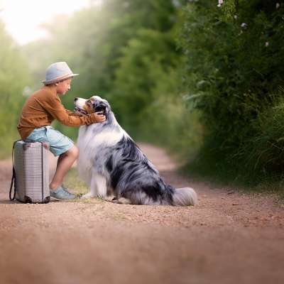 &copy; Aniko Vocelka Photography