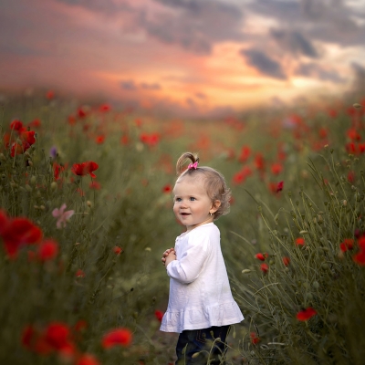 &copy; Aniko Vocelka Photography